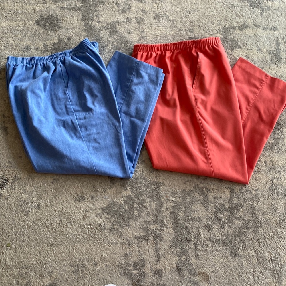 16 petite. Two pairs of pants.